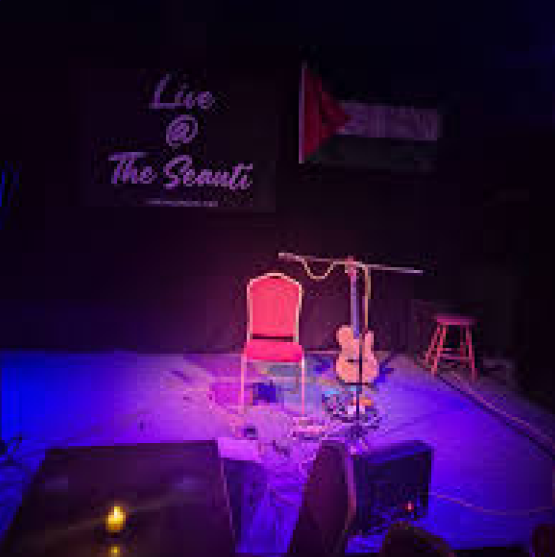 An image of a chair, microphone and guitar on stage under a spotlight with the Seanti logo and a Palestinian flag on the wall