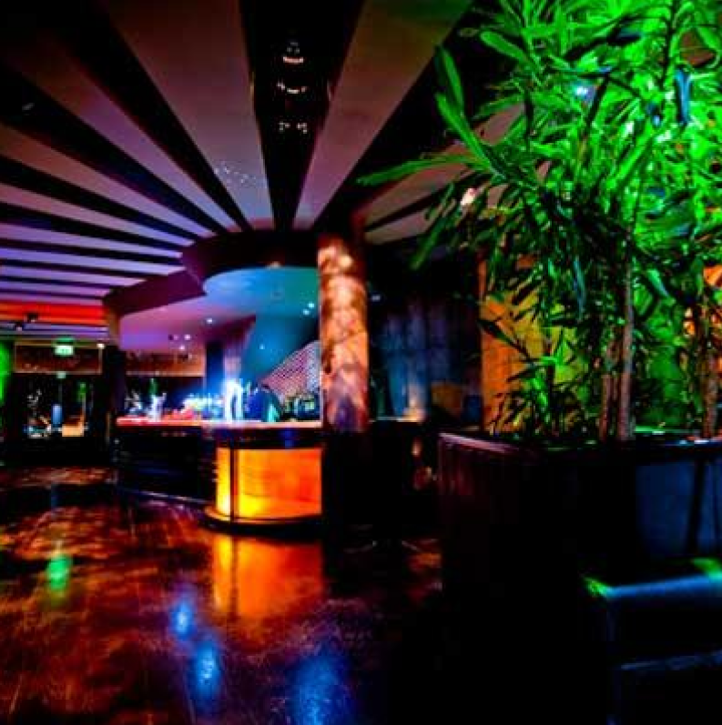 An image of a bar in dim lighting with potted plants